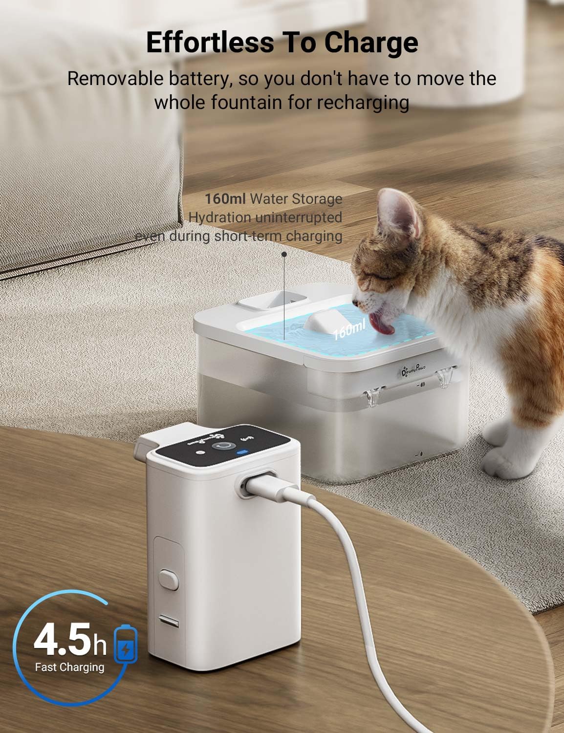 Design blanc élégant DownyPaws, sans BPA et sécurisé.