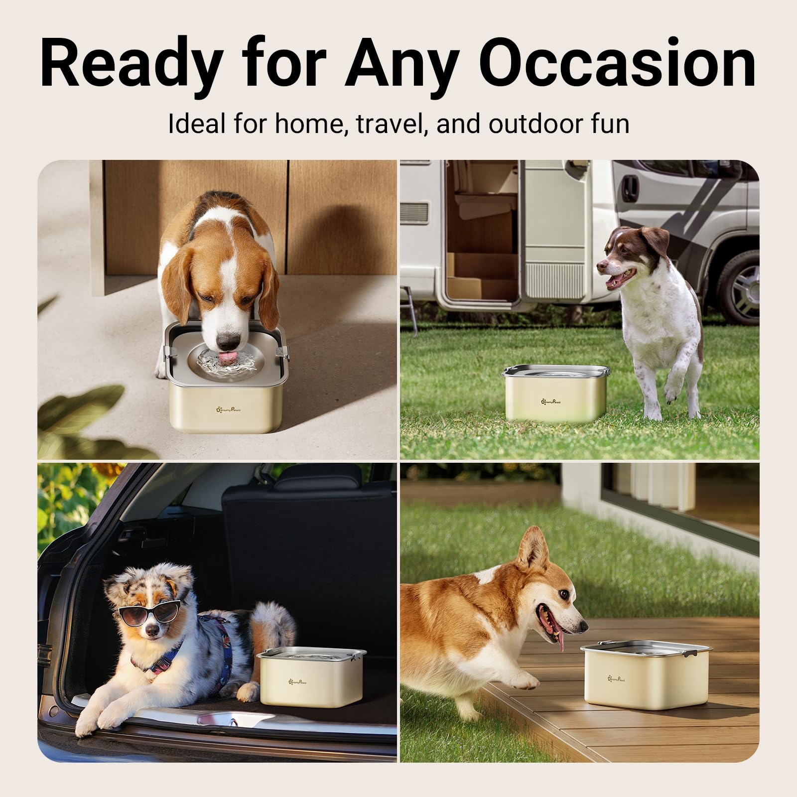 Design moderne beige de la gamelle DownyPaws.