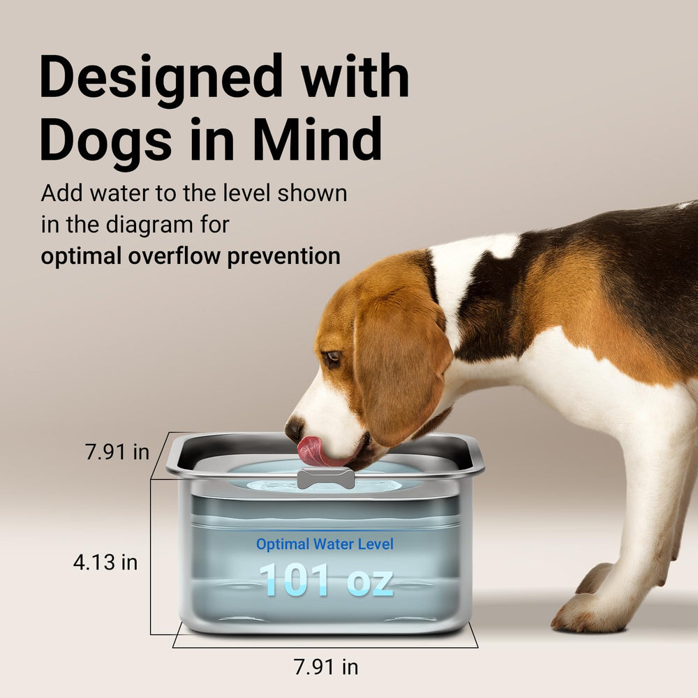 Disque flottant en inox DownyPaws pour longévité