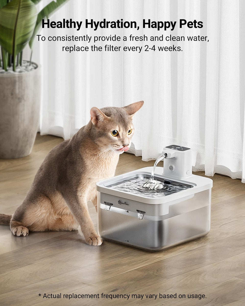 DownyPaws DPWFP6: eau plus claire pour le bien-être de votre chat