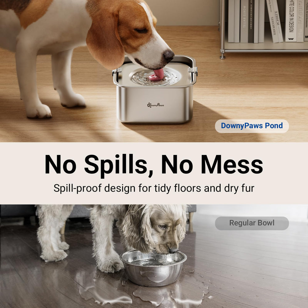 Flotteur en acier inox DownyPaws contrôle le flux du bol d eau