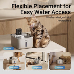 Fontaine DownyPaws, batterie rechargeable, autonomie optimisée.