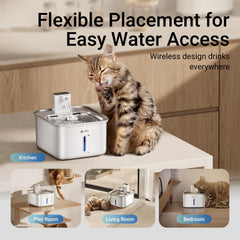 Fontaine DownyPaws inox avec batterie rechargeable 4000mAh, autonomie pratique.
