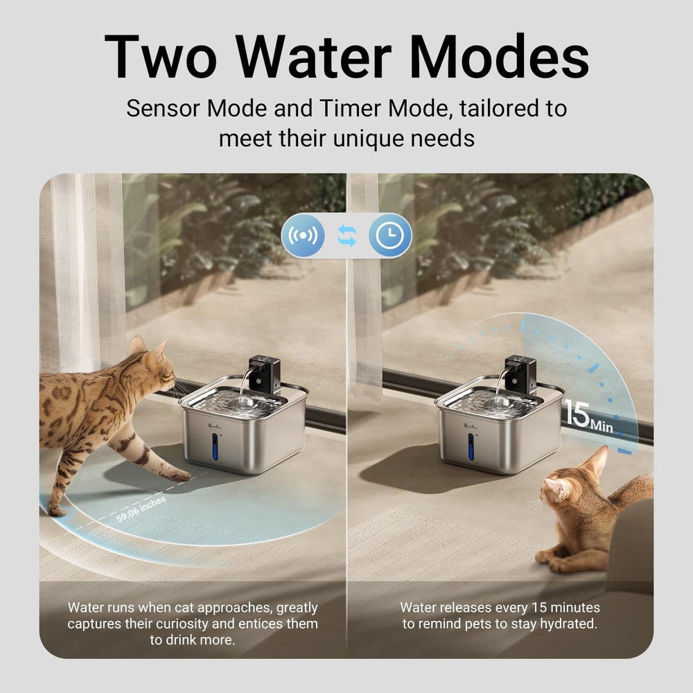 Fontaine DownyPaws, capacité 3 litres pour moins de remplissages.