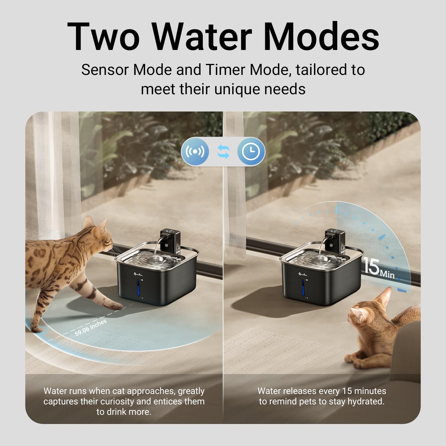 Capacité 3L DownyPaws, long apport d'eau entre remplissages.