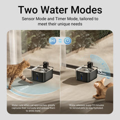 Capacité 3L DownyPaws, long apport d'eau entre remplissages.