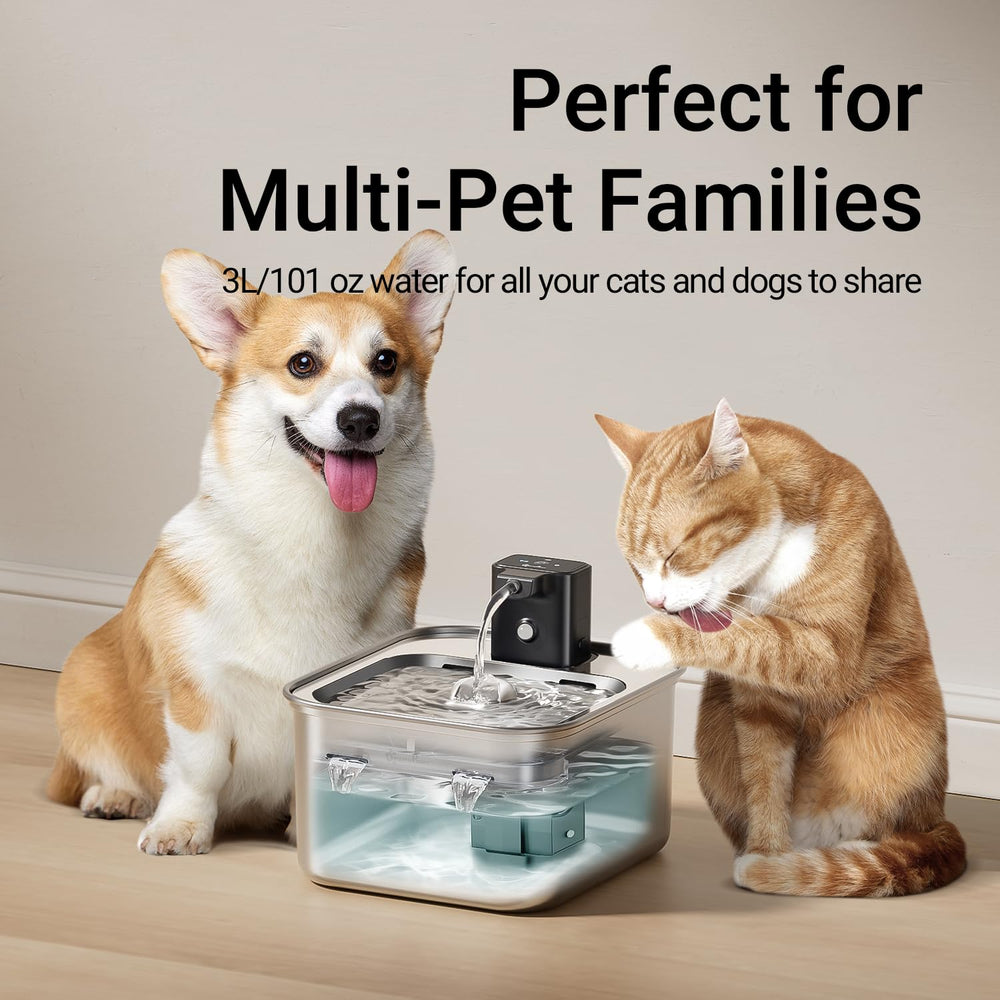 Fontaine DownyPaws, design durable et élégant.