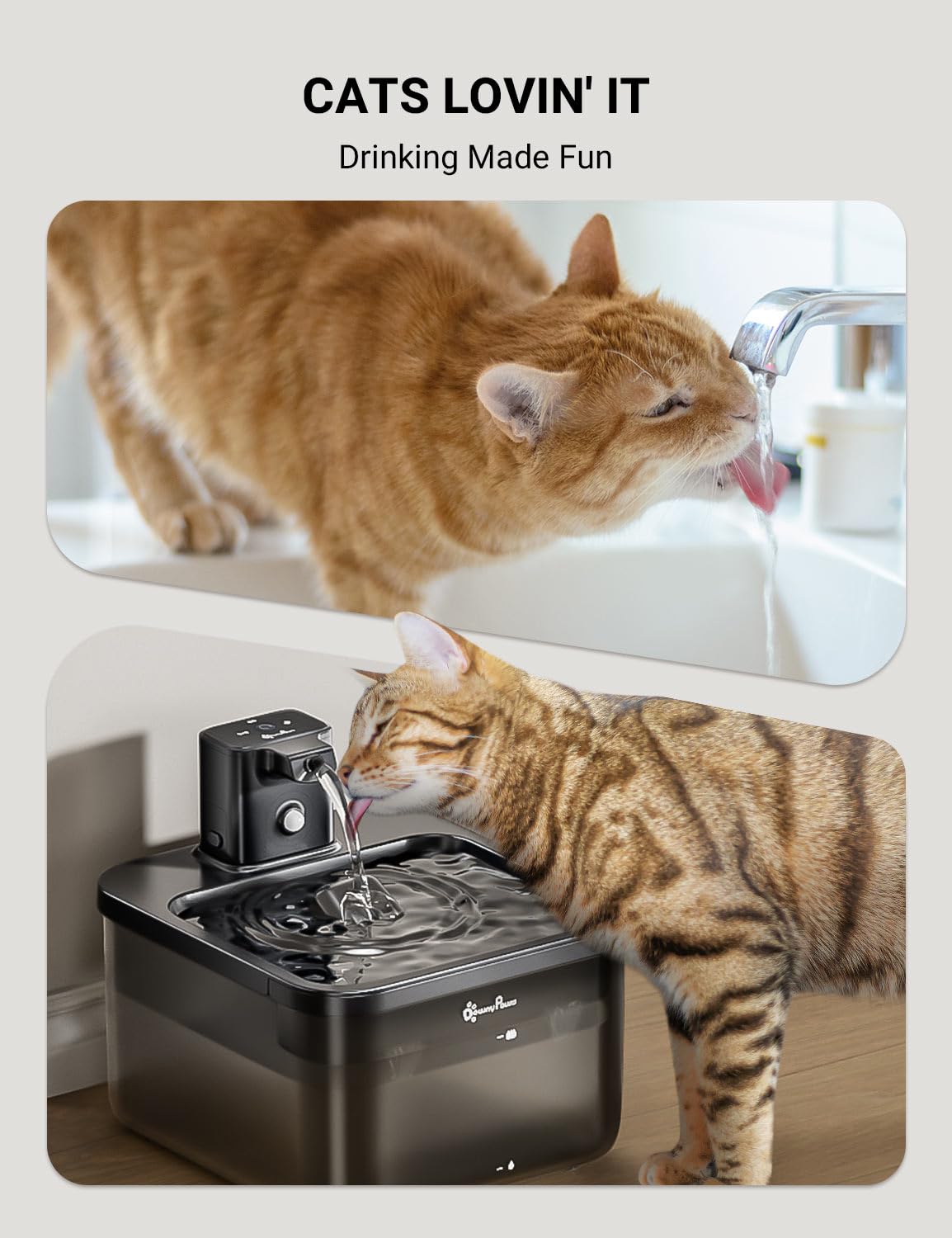 DownyPaws Fontaine Chat – flux d'eau apaisant incite votre chat à boire.