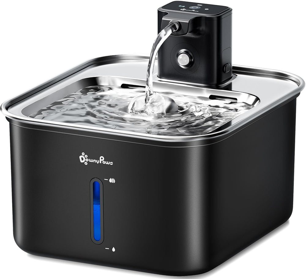 Fontaine DownyPaws inox 3L, ensemble robuste pour hydratation durable des chats.