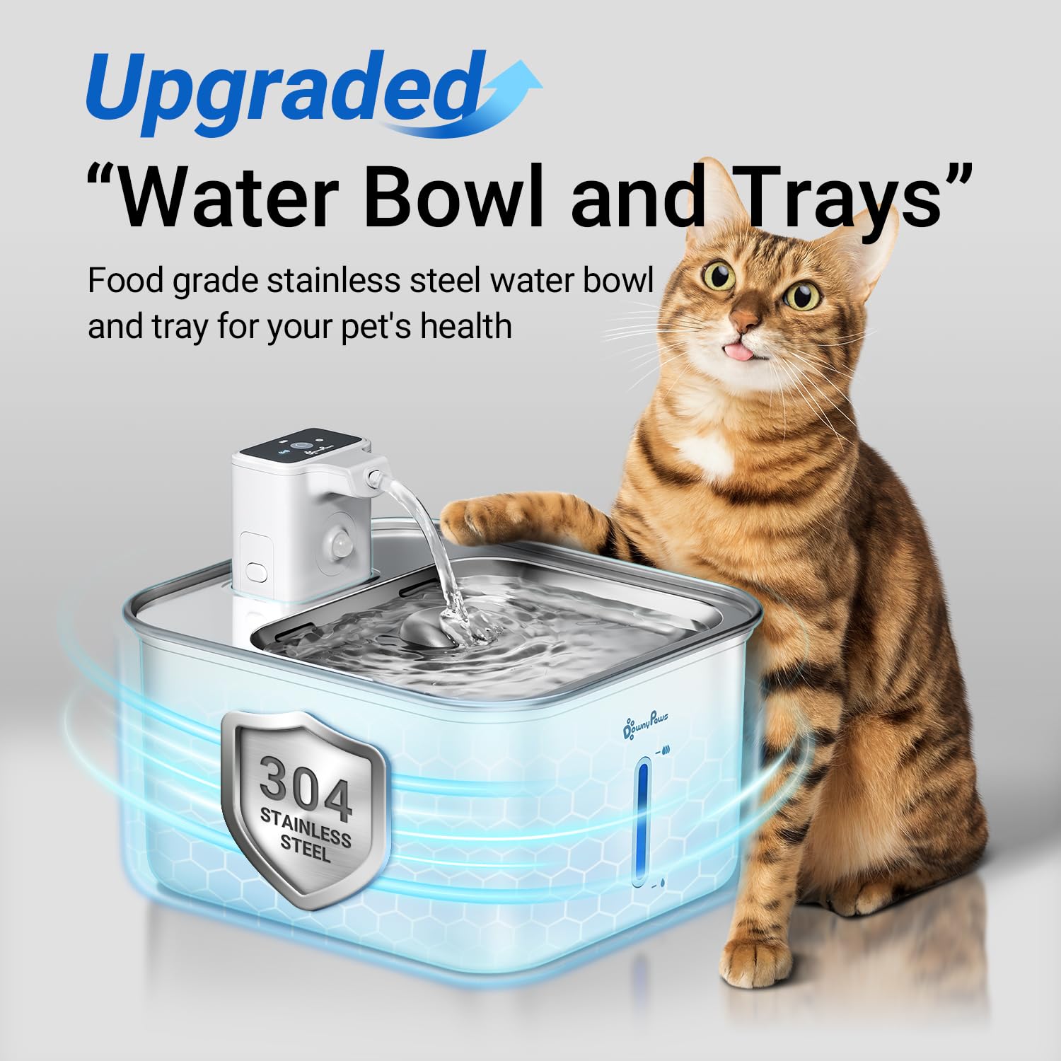 DownyPaws fontaine inox détachable, nettoyage facile et hygiénique.