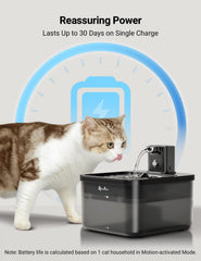 DownyPaws Fontaine Chat – mode temporisé à 15 minutes pour boire à convenance.