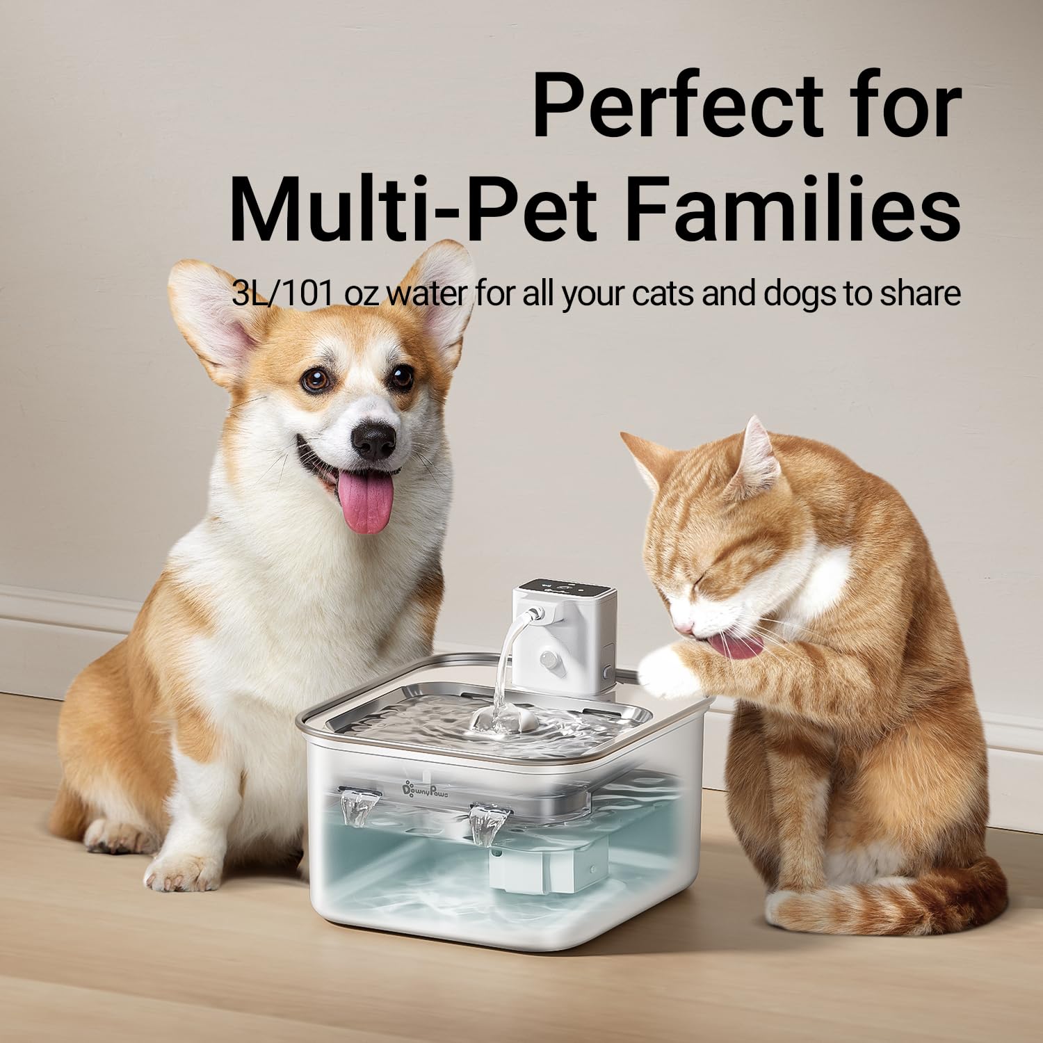 Utilisation intérieure flexible de la fontaine DownyPaws sans fil.