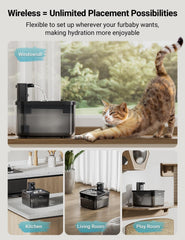 Filtration DownyPaws en 5 étapes pour eau plus fraîche du chat.