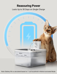 Mode minuterie DownyPaws, apport régulier toutes les 15 minutes.