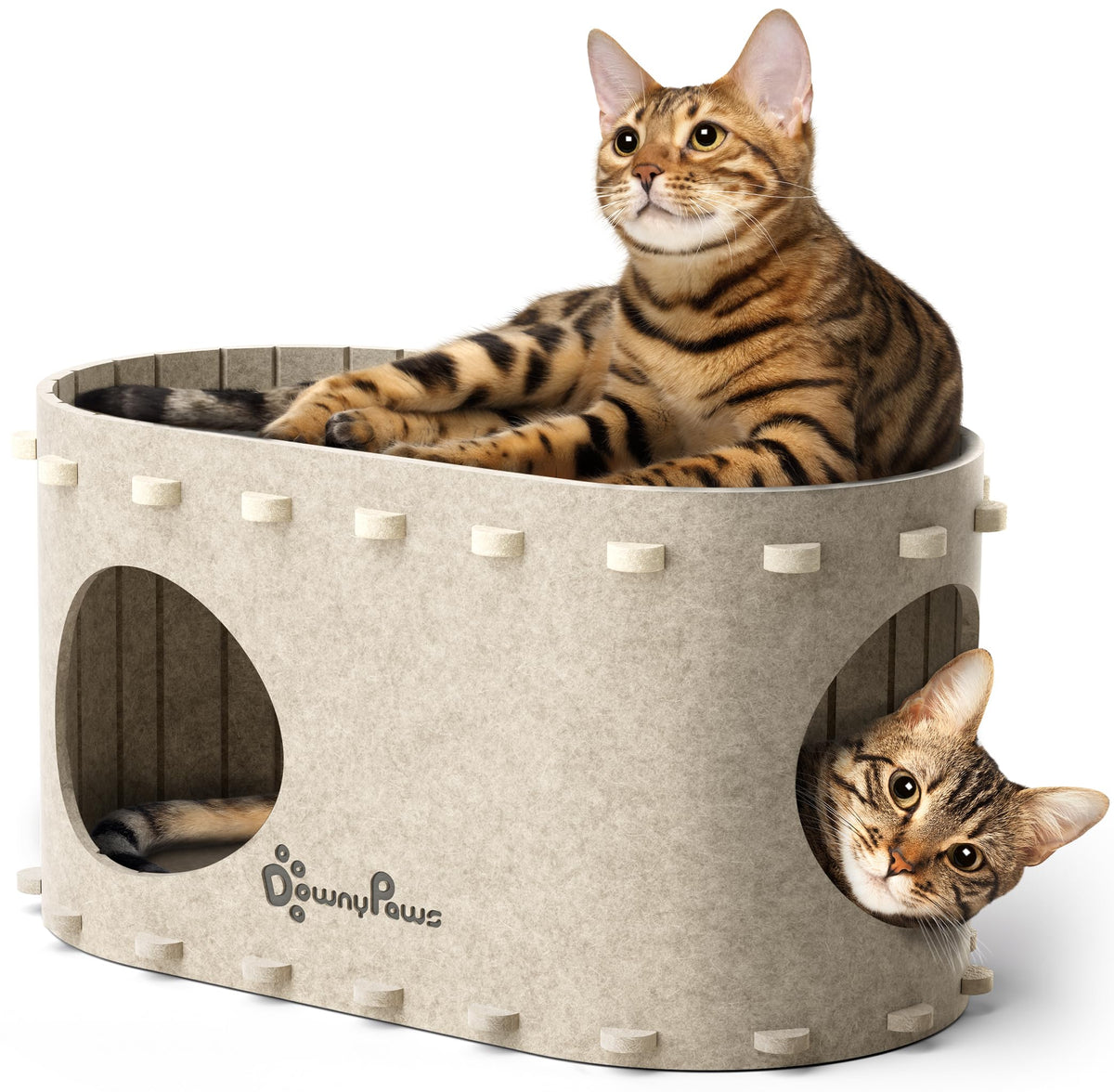 DownyPaws PeekaPurr cabane-chat-interieure, refuge cosy et sécurisé pour chat.