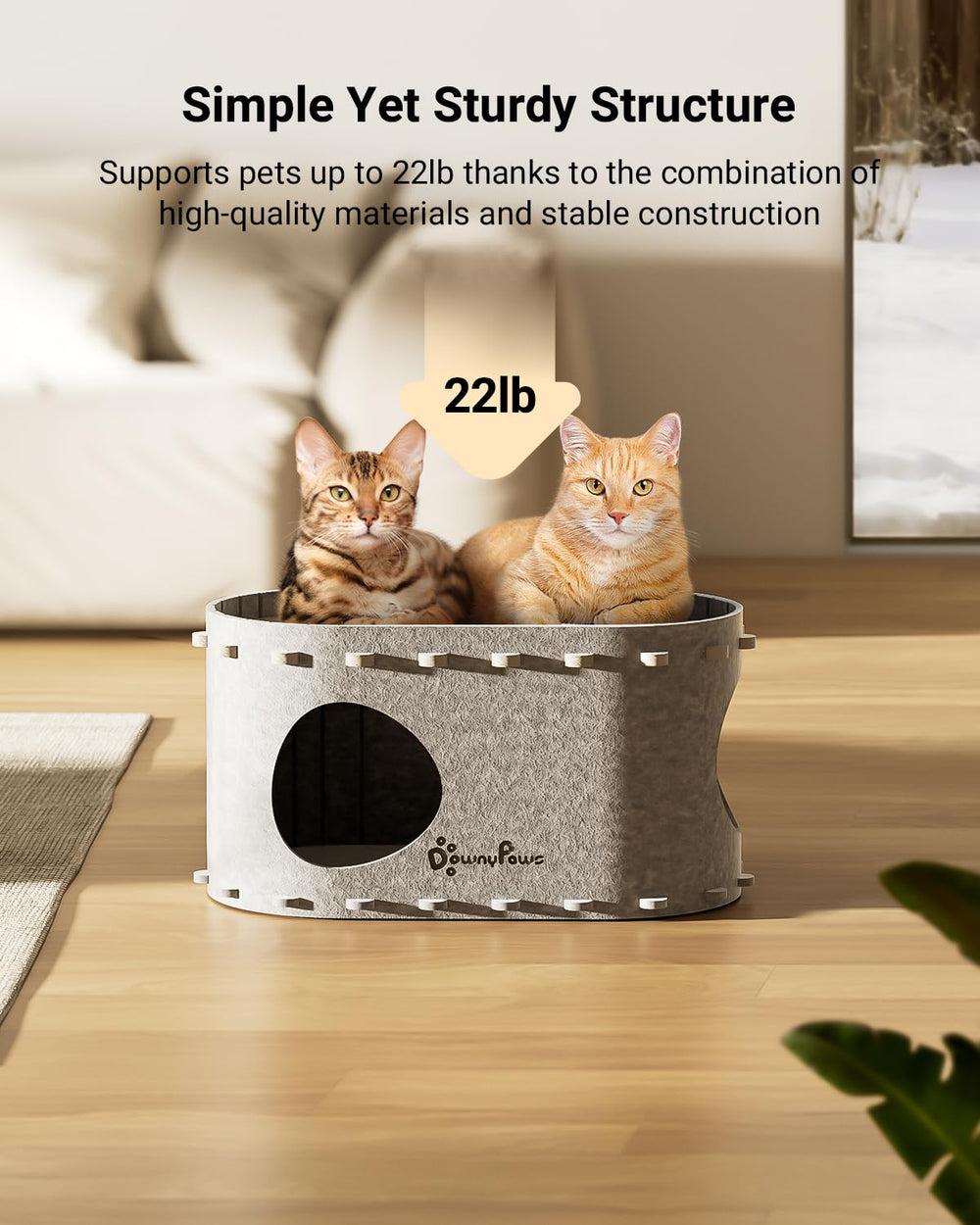 DownyPaws PeekaPurr design compact, s’intègre à tout espace.