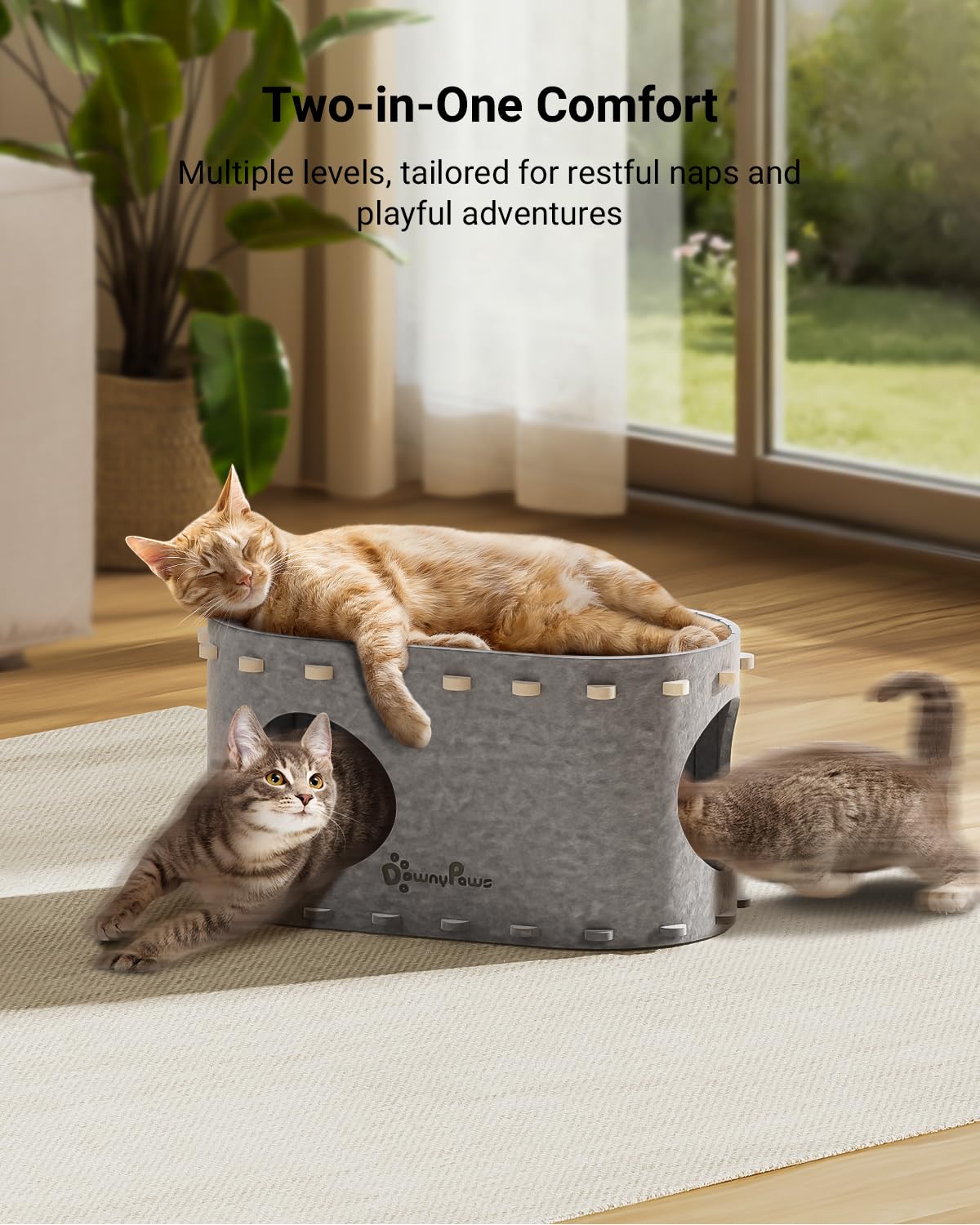 DownyPaws PeekaPurr cave avec deux ouvertures pour observation et interaction.