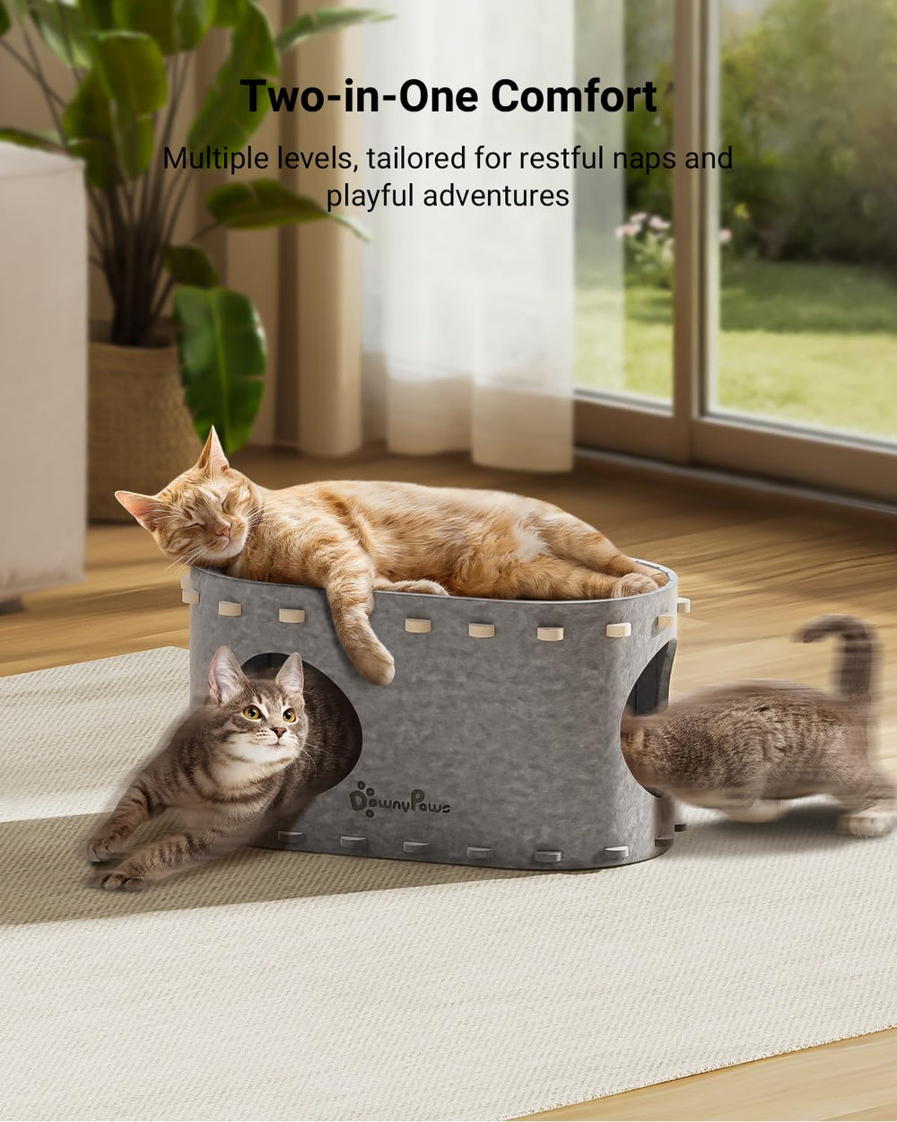 DownyPaws PeekaPurr cave avec deux ouvertures pour observation et interaction.
