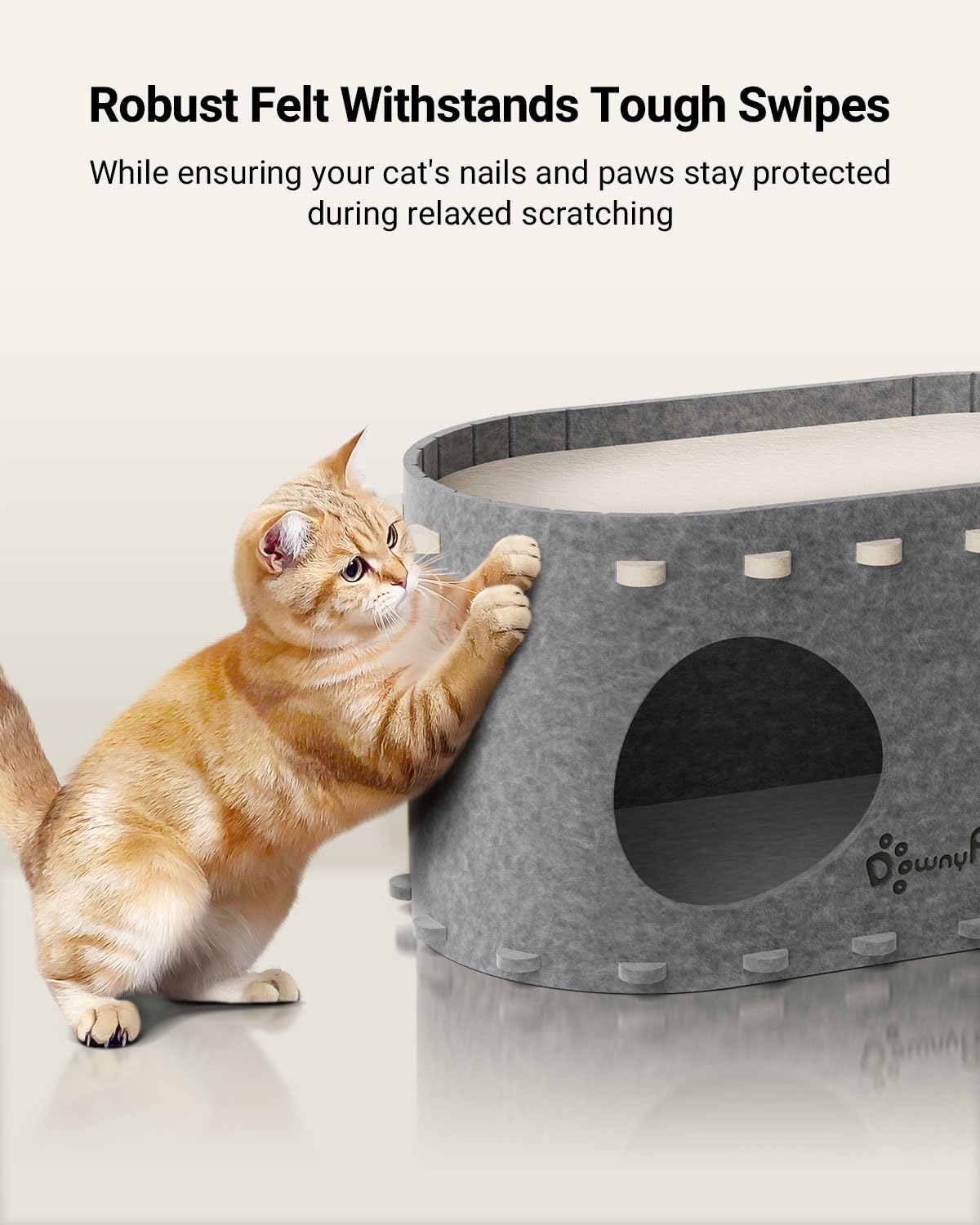 DownyPaws PeekaPurr structure robuste, supporte jusqu’à 10 kg.