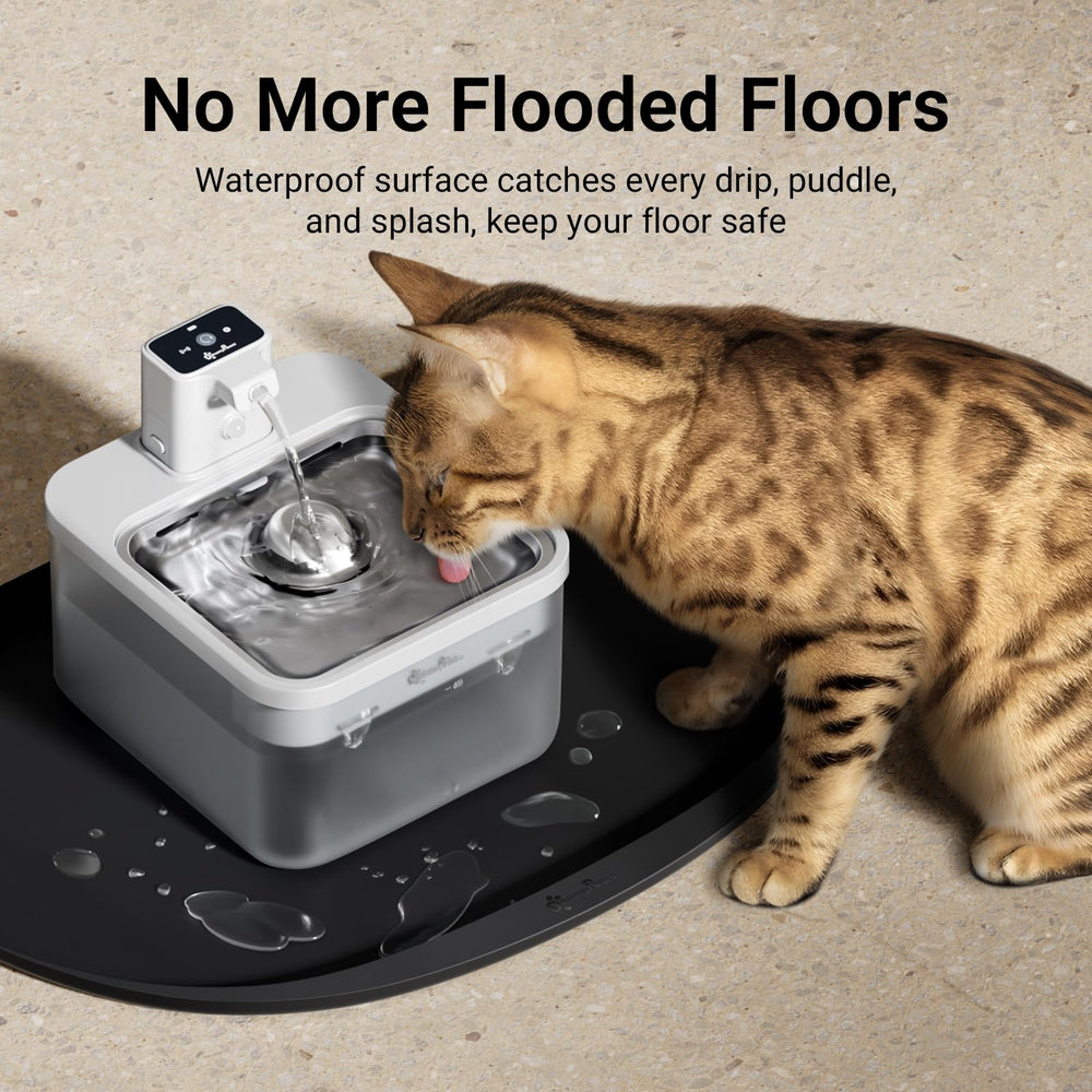 DownyPaws rebord-eleve-0-55po: rebord haut pour contenir liquides et miettes.