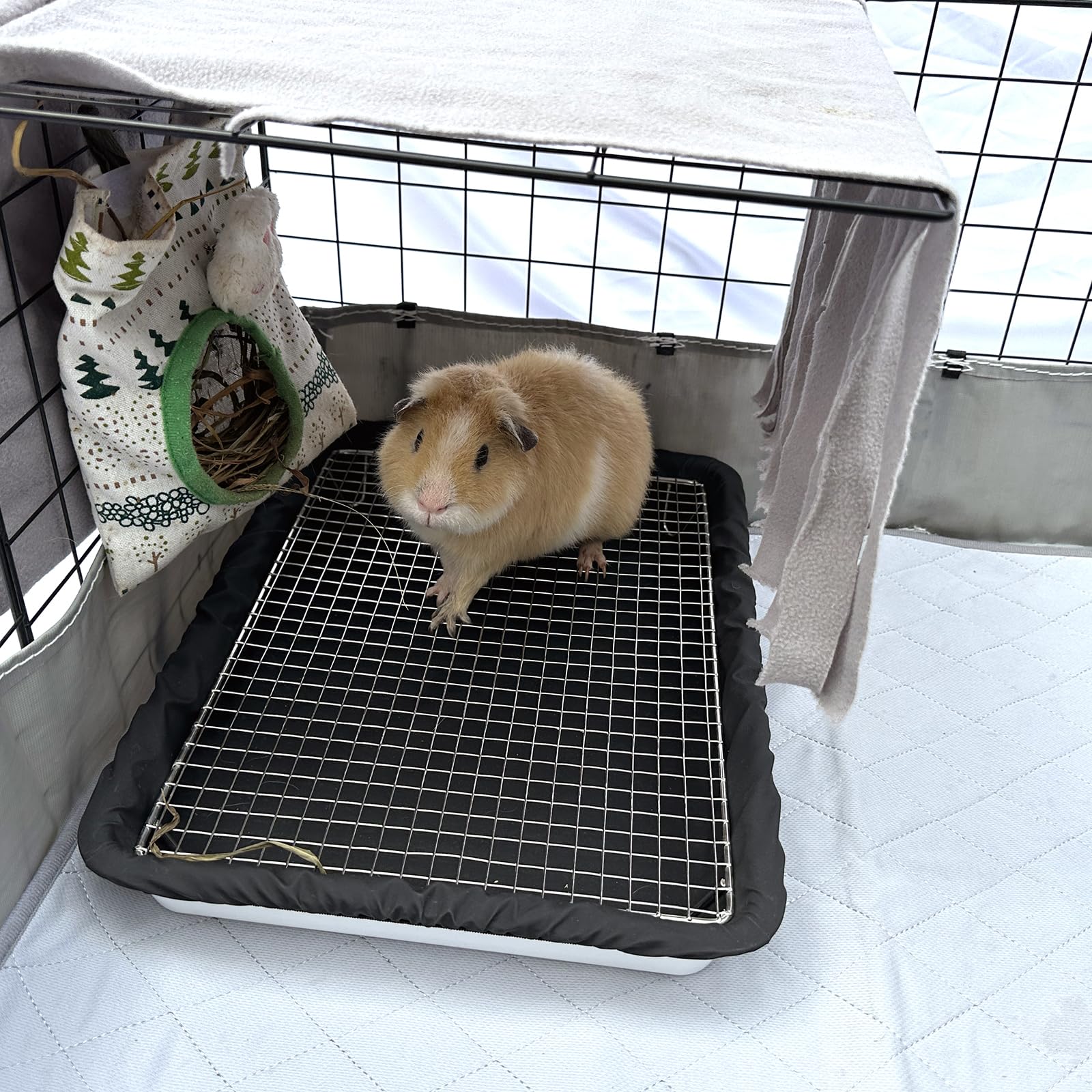 DOZZOPET design ergonomique sécurité: stabilité et confort pour petits animaux