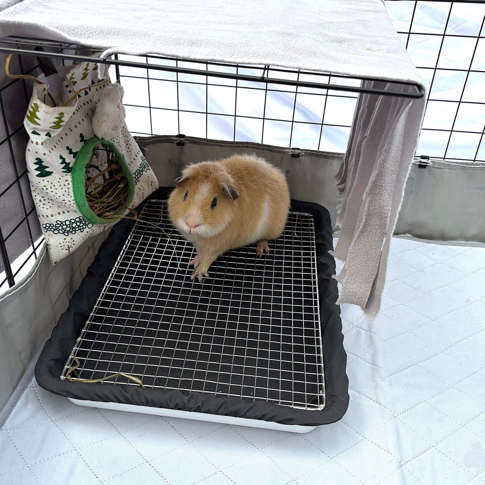 DOZZOPET design ergonomique sécurité: stabilité et confort pour petits animaux