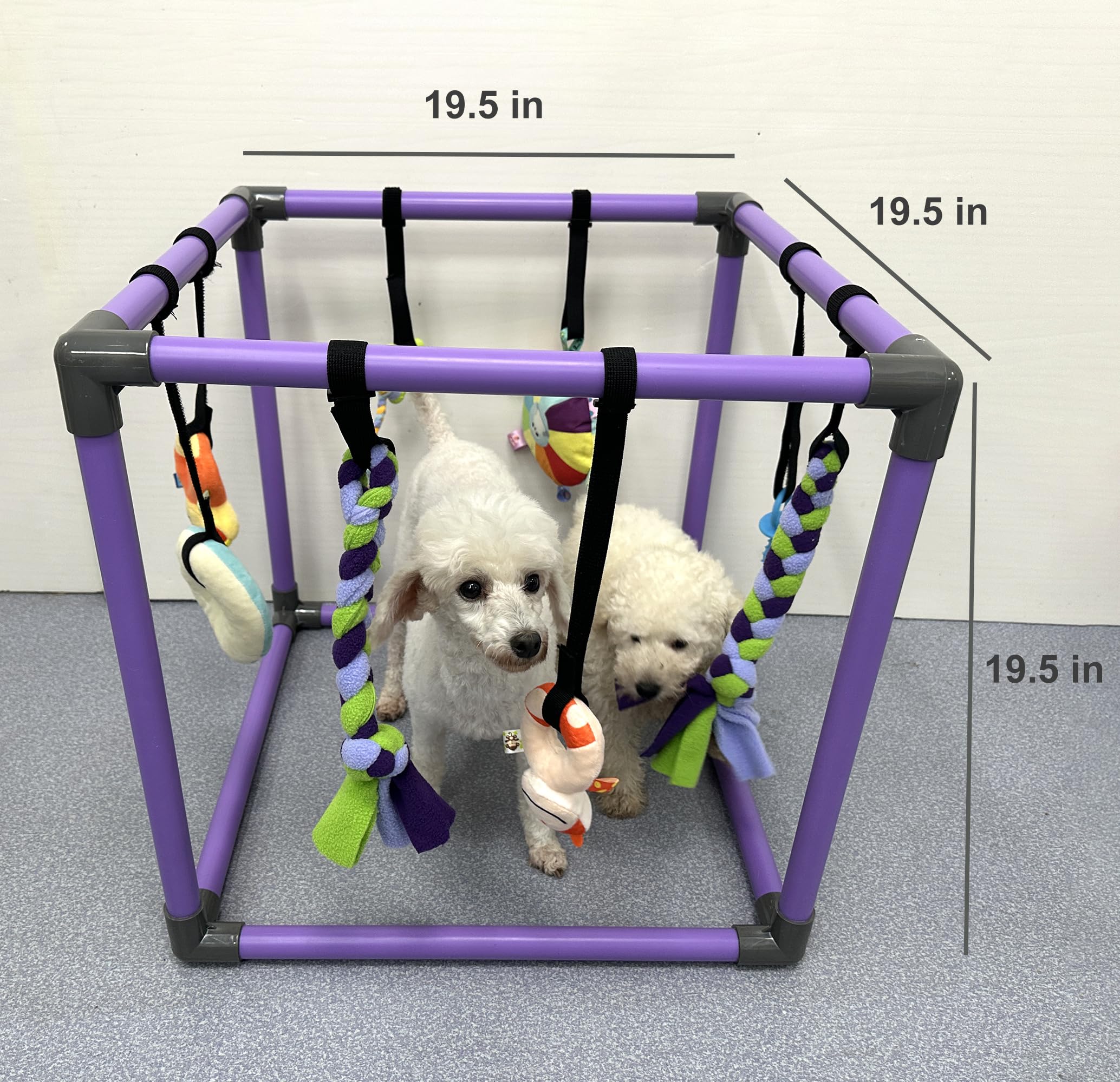 Montage rapide sans outils du DOZZOPET Puppy Play Gym