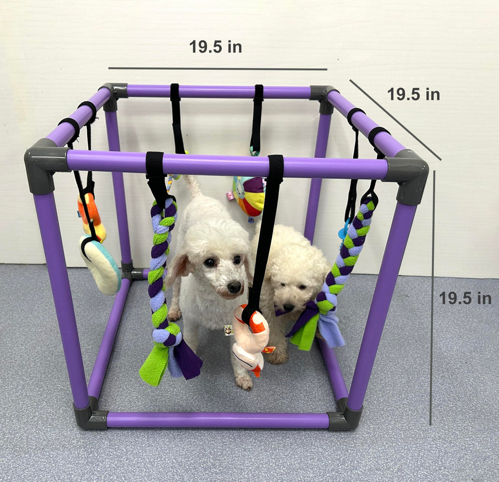 Montage rapide sans outils du DOZZOPET Puppy Play Gym