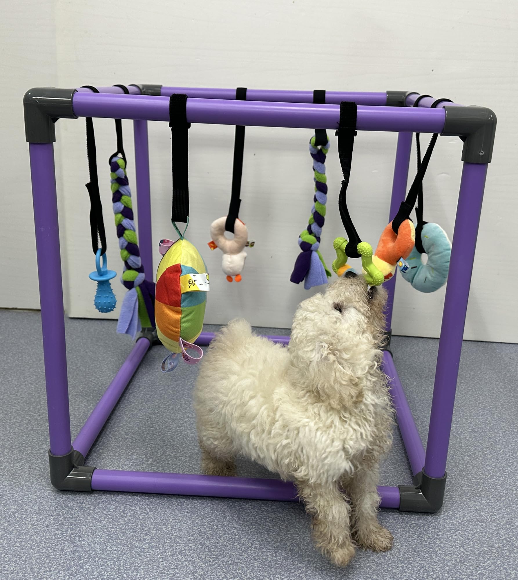 DOZZOPET Puppy Play Gym adaptée aux petits chiens, environ 50 cm de côté