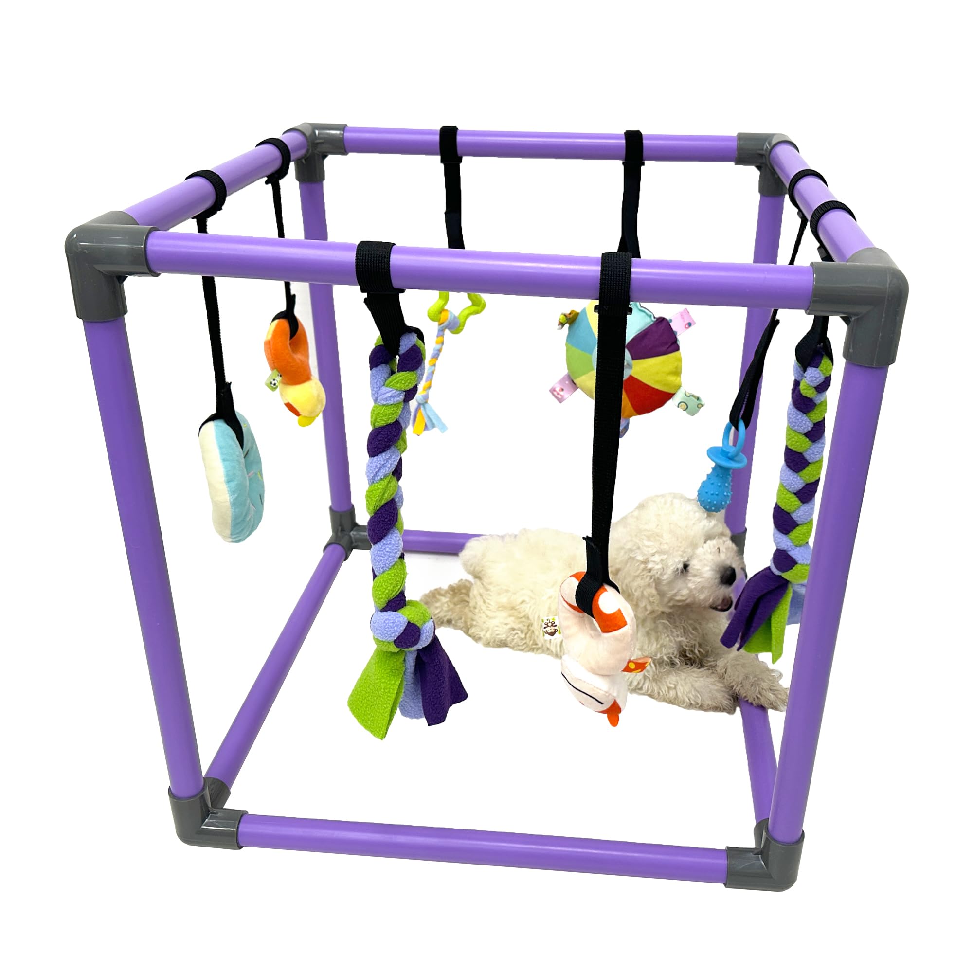 DOZZOPET Puppy Play Gym avec jouets suspendus pour chiots – stimulation ludique