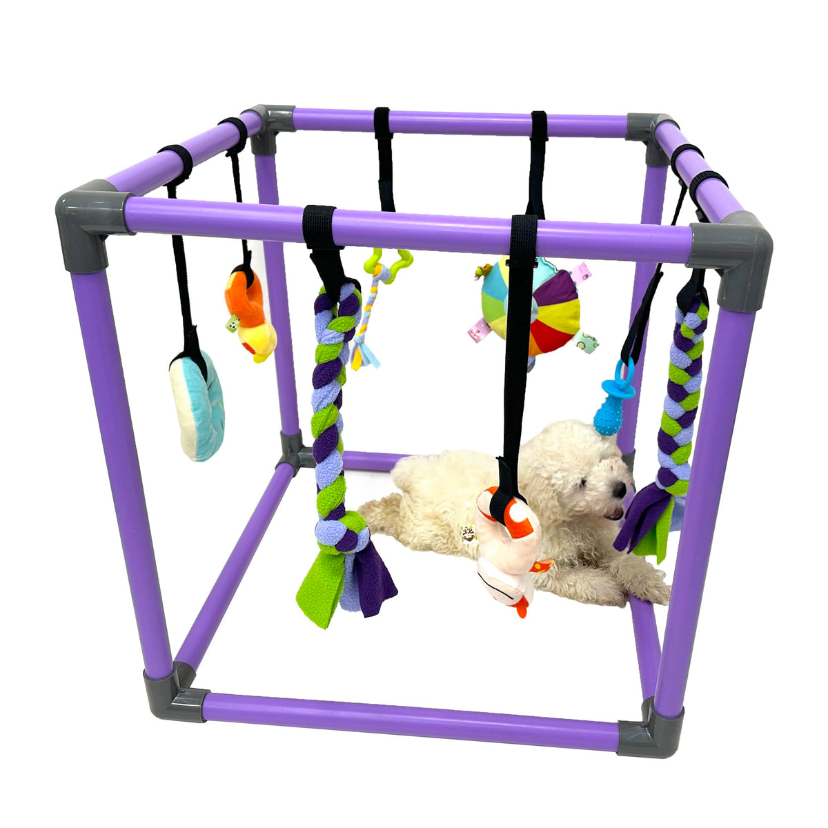 DOZZOPET Puppy Play Gym avec jouets suspendus pour chiots – stimulation ludique