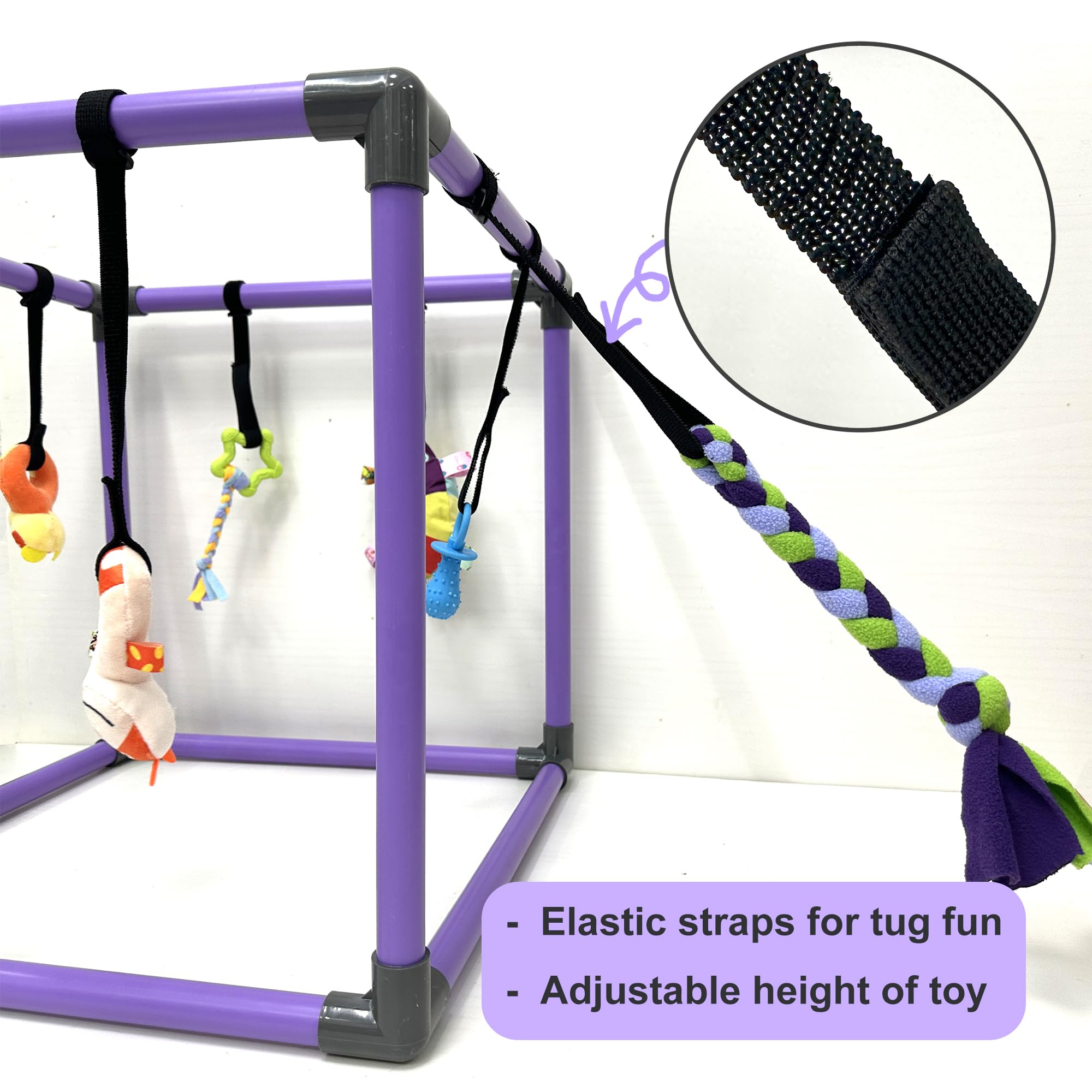 Sangles élastiques réglables du DOZZOPET Gym pour hauteur adaptable des jouets