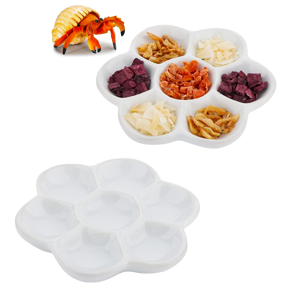 Assiette céramique DQITJ pour crabes ermite, ensemble stable