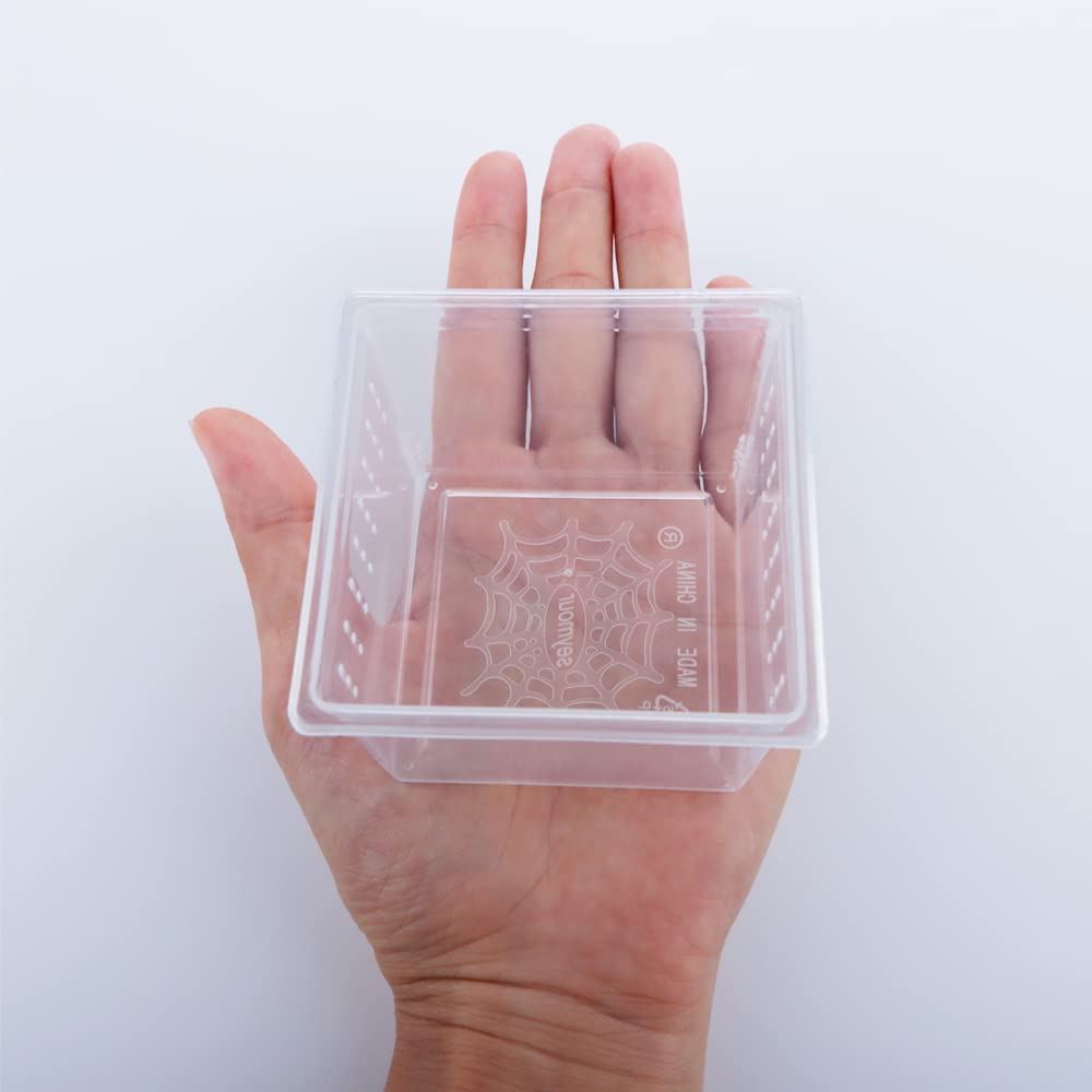 DQITJ boîte terrarium durable et léger, idéal pour élevage et rangement rapide.