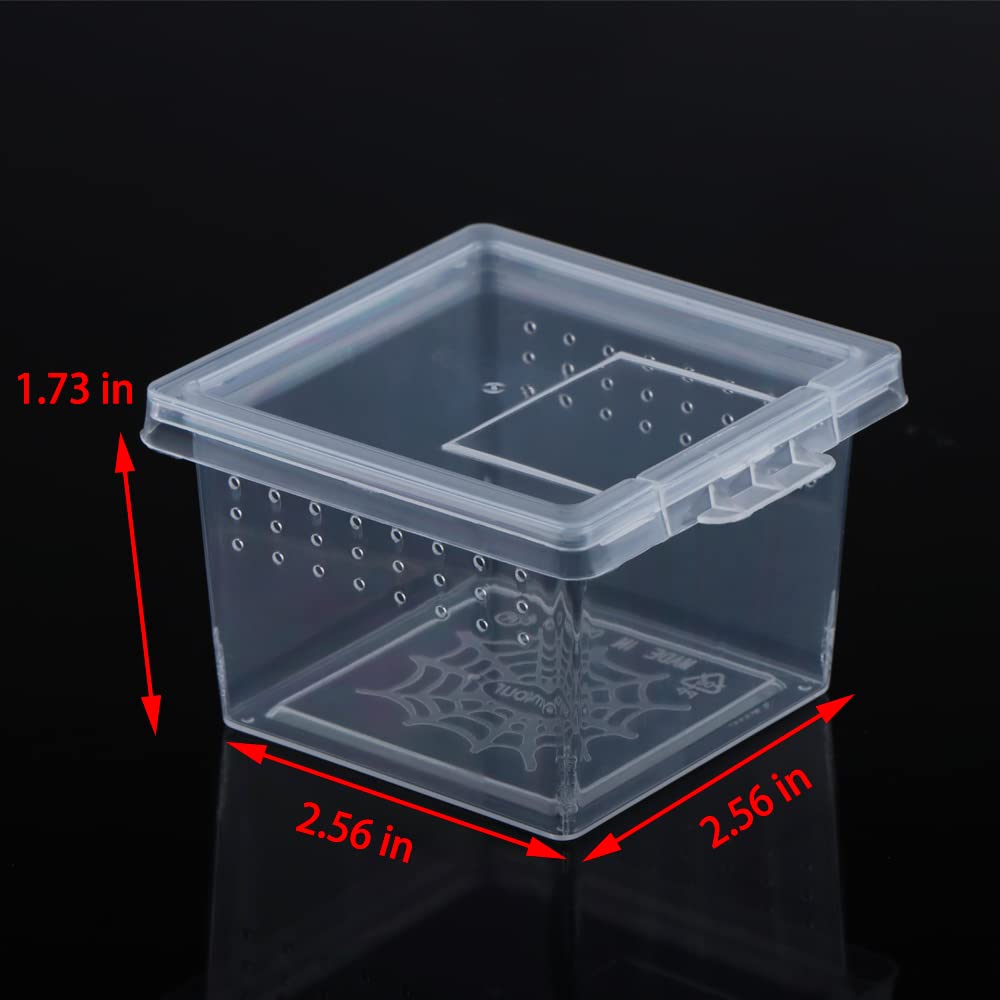 DQITJ boîte terrarium pour scorpions et centipèdes, facile à manipuler.