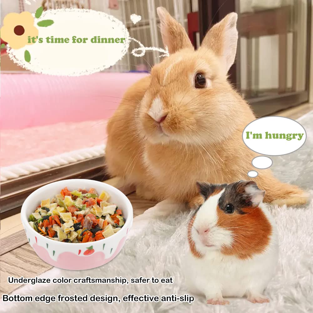 Bol céramique DQITJ hamster rose anti-renversement, design durable et pratique.