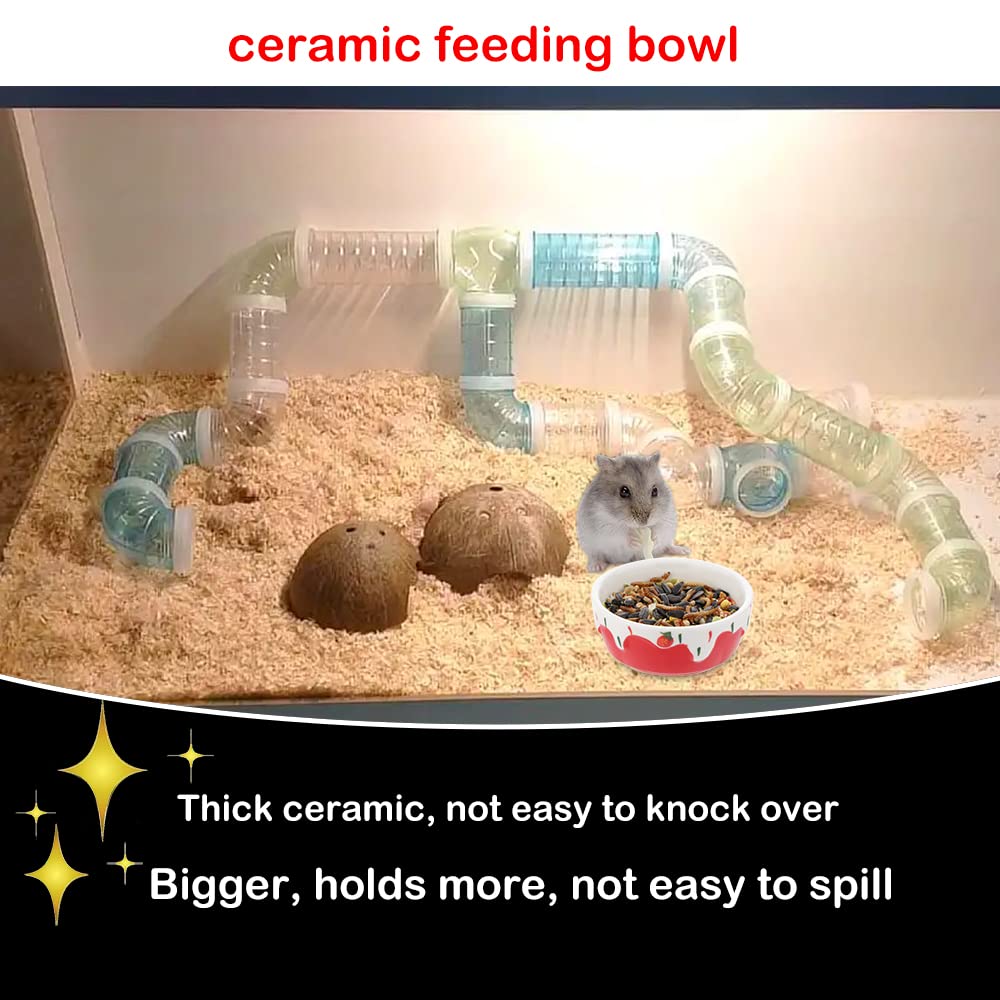 Bol céramique DQITJ non toxique pour petits animaux, sécurité et fiabilité.