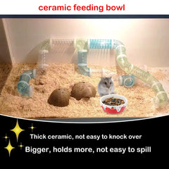 Bol céramique DQITJ non toxique pour petits animaux, sécurité et fiabilité.