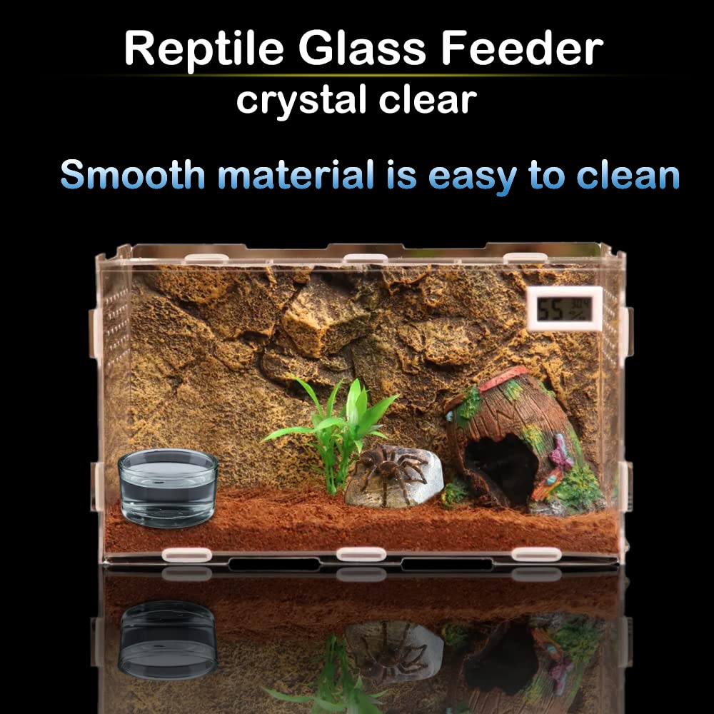 DQITJ bol-eau-reptile-verre: bol en verre pratique pour l hydratation des reptiles.