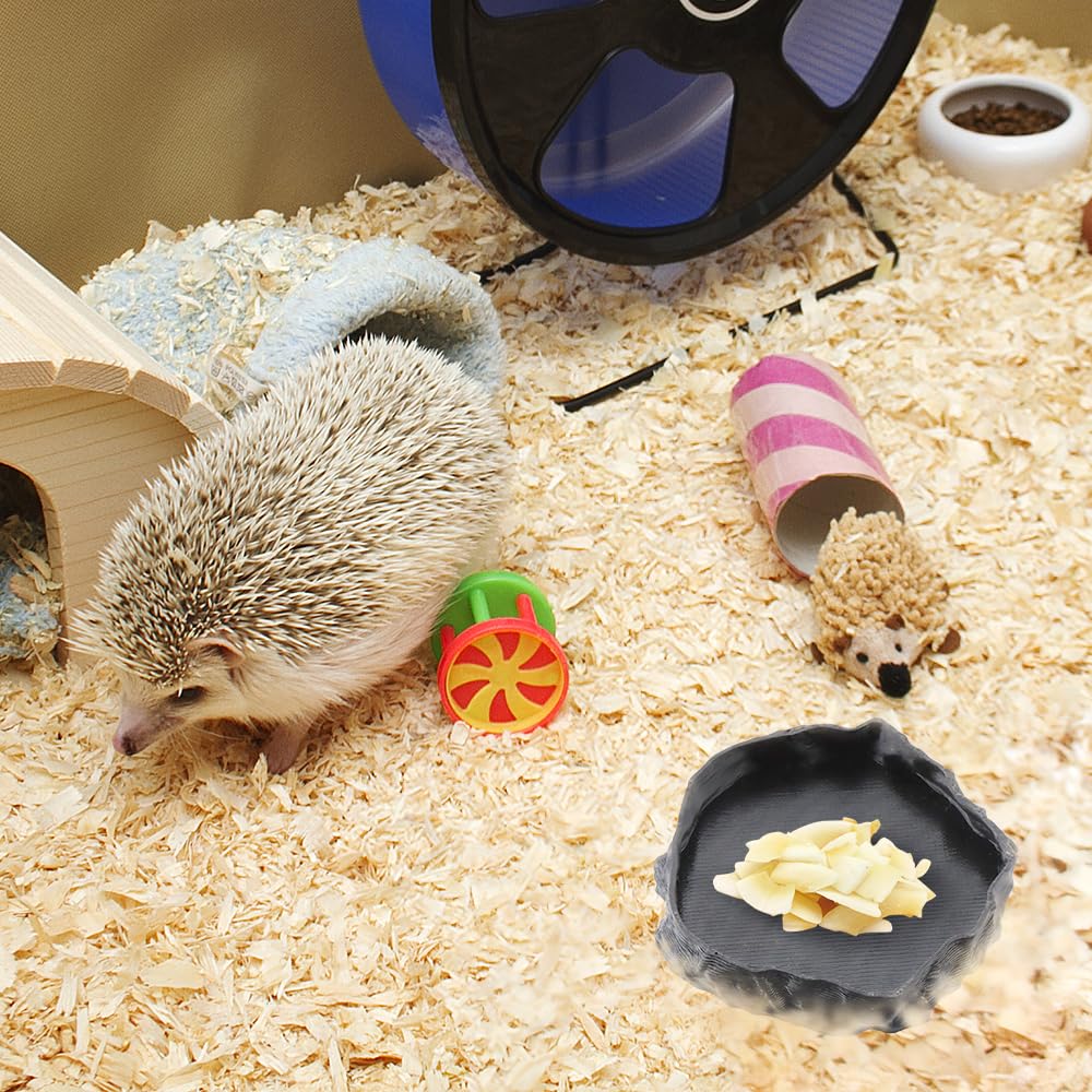 Parfait pour hermite crabe, tortues et petits reptiles dans le terrarium.