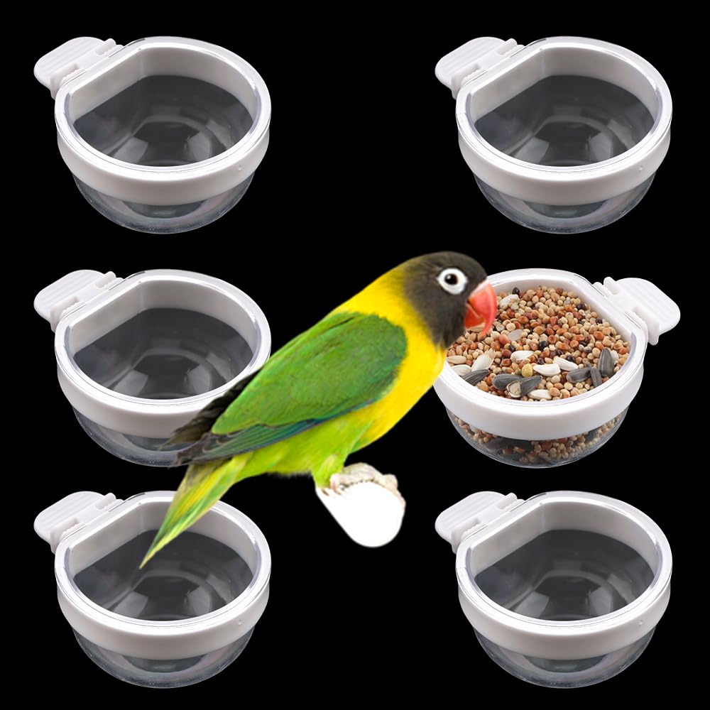 DQITJ ensemble 6 bols transparents pour oiseaux, alimentation et hydratation faciles à atteindre