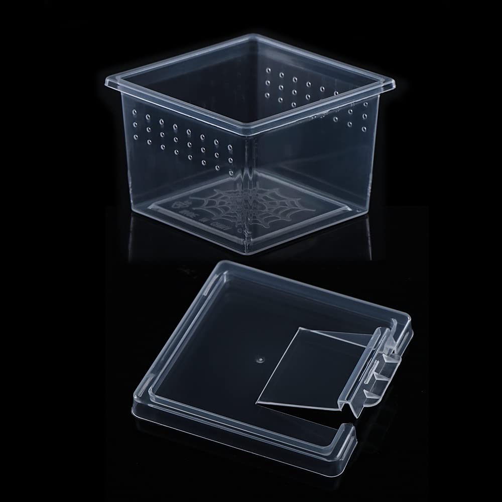 Ensemble de 10 boîtes terrarium acryliques DQITJ, pratique pour démarrer plusieurs élevages.