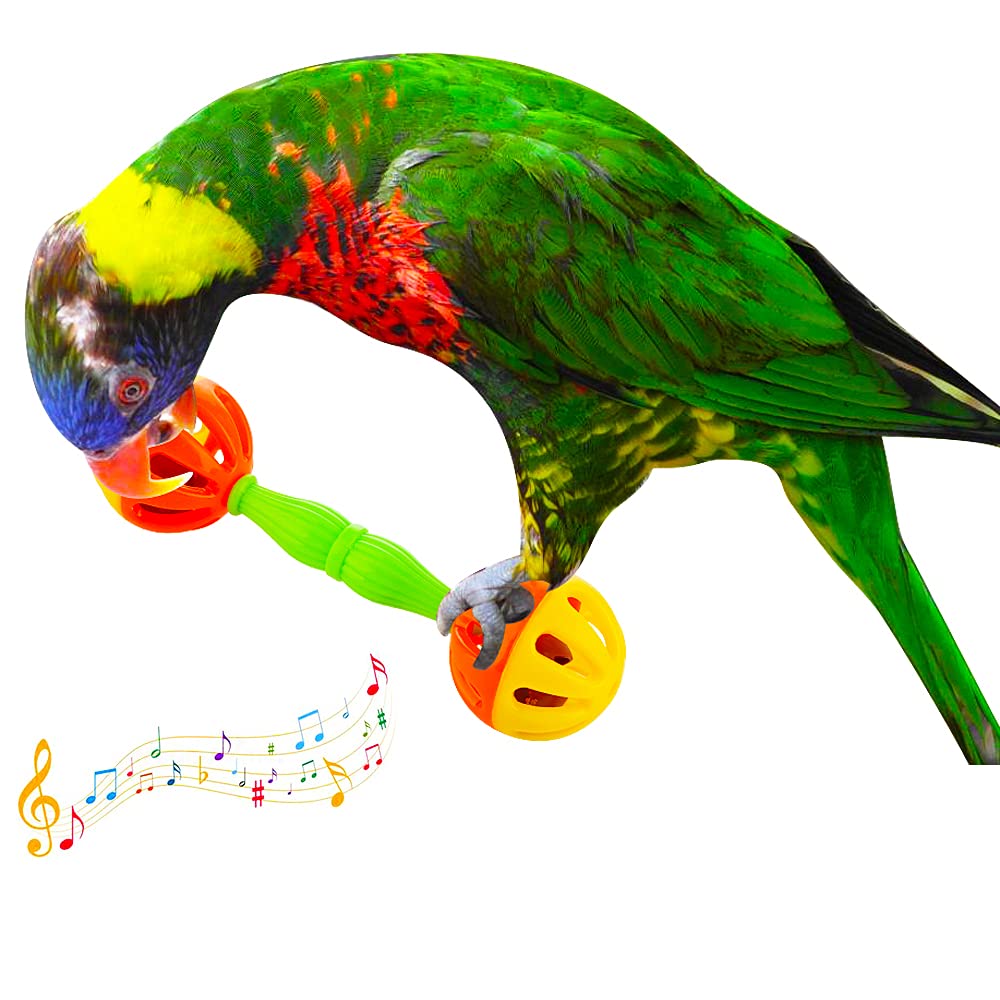 DQITJ jouet pied pour oiseaux, plastique sûr et durable.