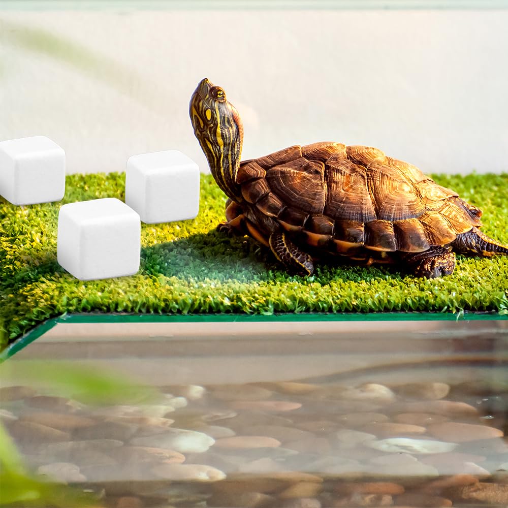 DQITJ Calcium Reptiles — pierre calcique naturelle prête à dissoudre