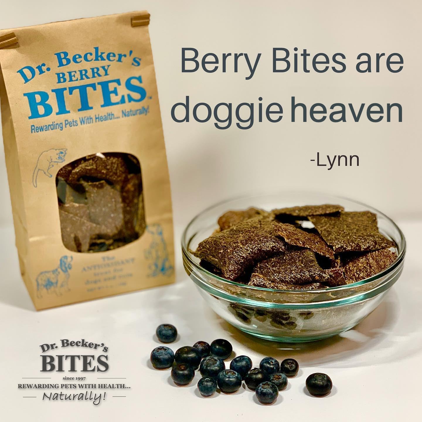 Berry Bites servie dans un bol, prête à partager pendant l’entraînement.
