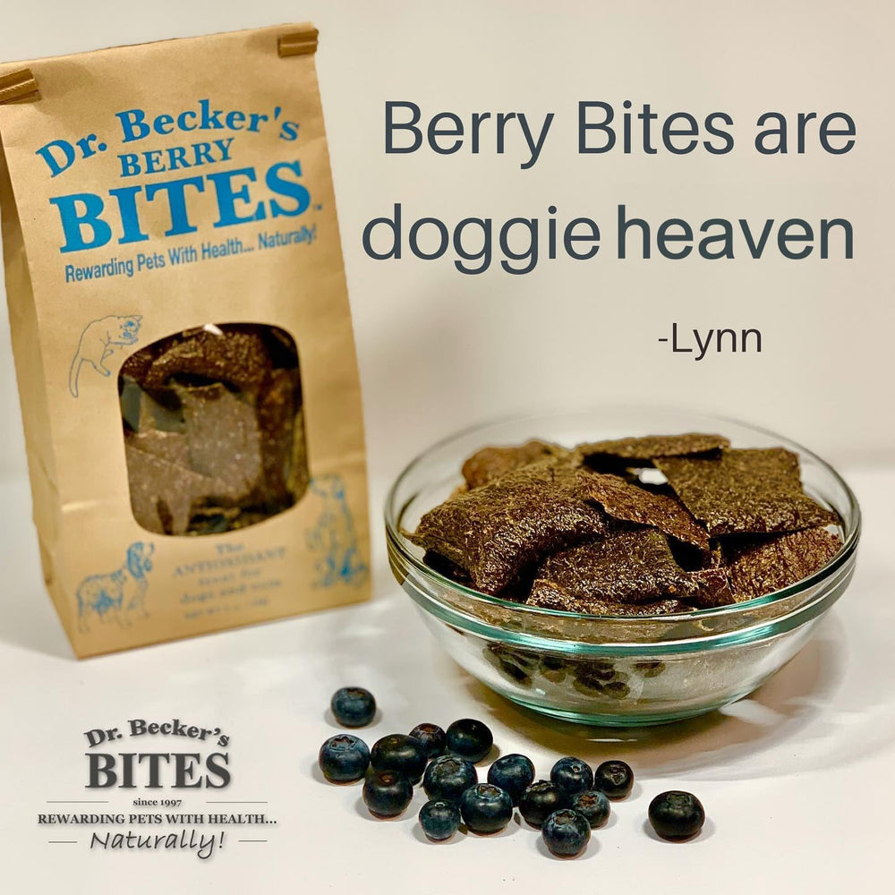 Berry Bites servie dans un bol, prête à partager pendant l’entraînement.