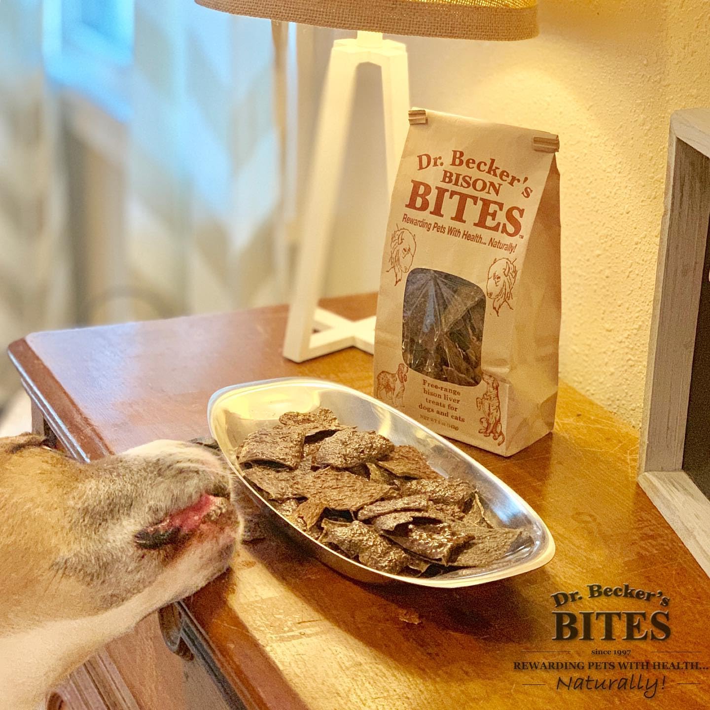Dr. Becker's Bison Bites – emballage trio pratique pour entraînement et récompenses.