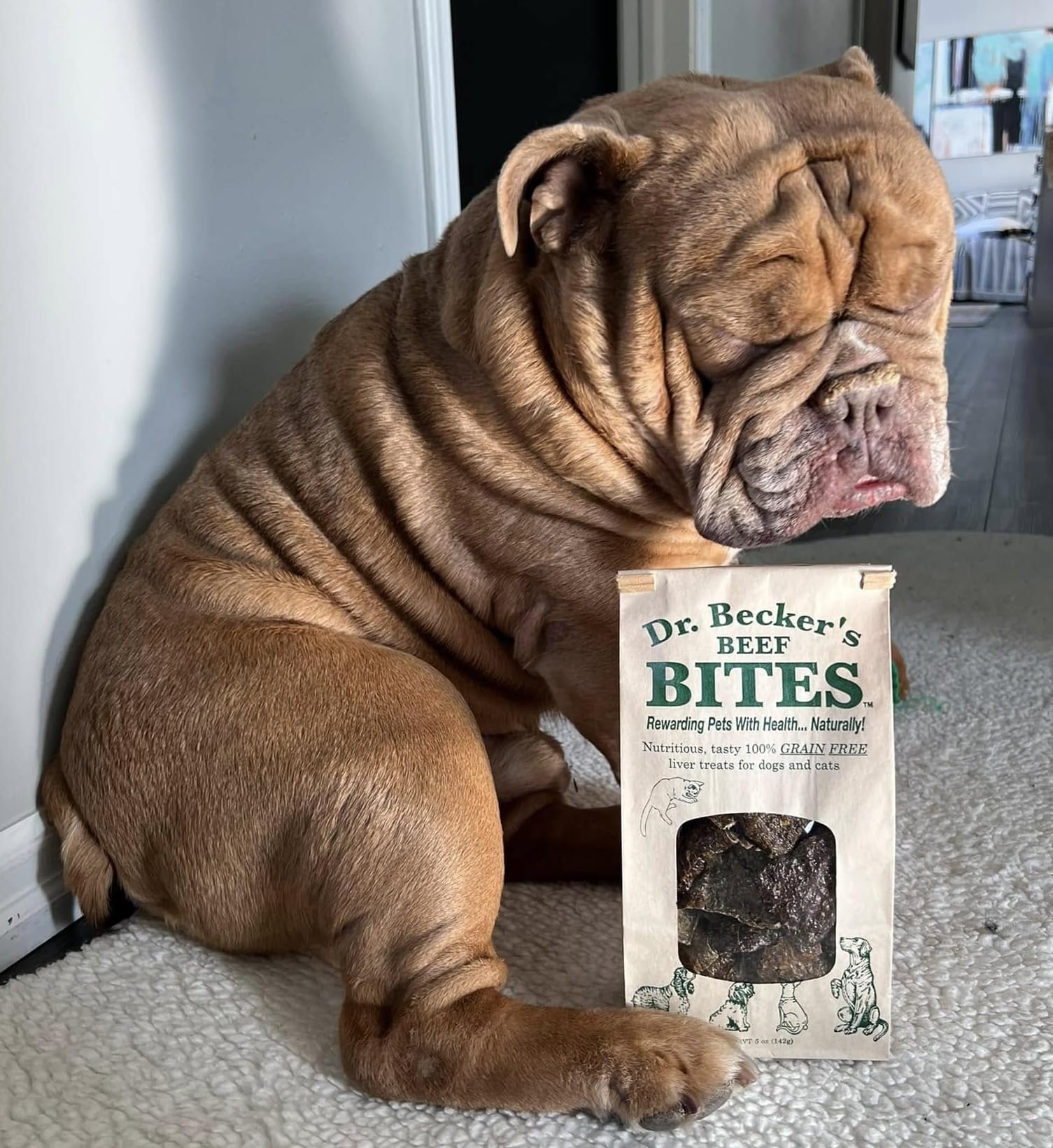 Dr. Becker's Bouchées de bœuf, parfaites pour chiots et chiens âgés.