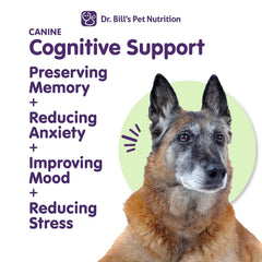 Dr. Bill's calme et sommeil du chien grâce au soutien cérébral.