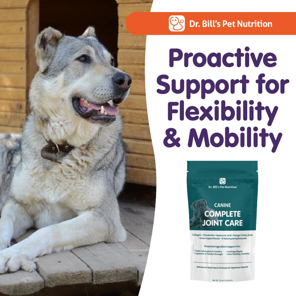 Dr. Bill’s Canine Complete Joint Care formulation naturelle et sécurité.